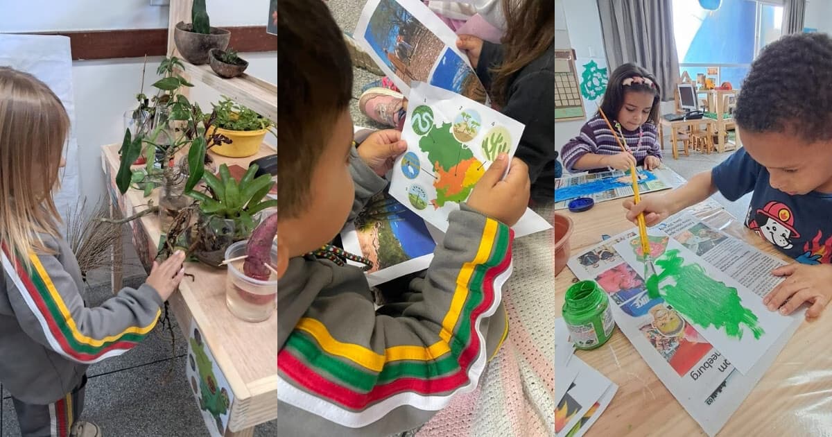 Alunos da educação infantil de Brusque exploram projeto de biomas e artistas brasileiros - O Município