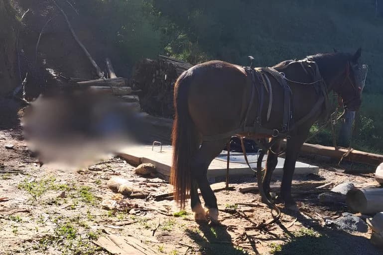 Homem morre em acidente com zorra no bairro Rio Branco, em Brusque