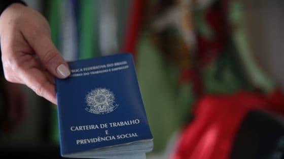 SC apresenta o maior saldo de empregos formais do país em janeiro de 2026 - Portal da Cidade - Brusque / SC